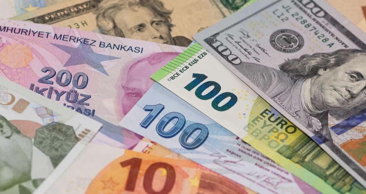 ing-bir-yil-sonraki-dolar-ve-euro-tahminini-acikladi-NzOz9PhK.jpg